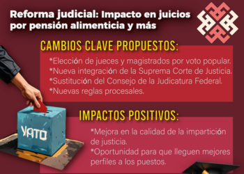 Infografía sobre el Poder Judicial y sus pro y sus contra