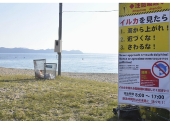 Alerta máxima en playas de Japón por ataques de delfines salvajes