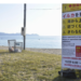 Alerta máxima en playas de Japón por ataques de delfines salvajes