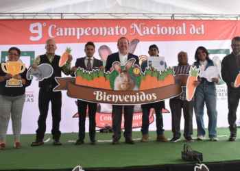 Competencia de conejos: ganan los mejores para la reproducción
