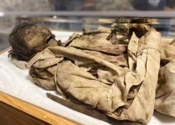 Exhiben momias en Hidalgo que datan de hace 100 años