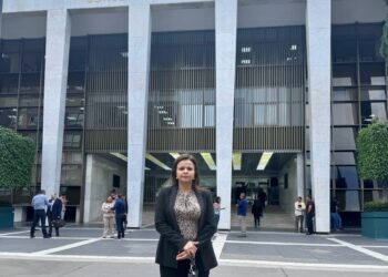 Diputada priista  va tras «Alito» por abuso, presión y corrupción
