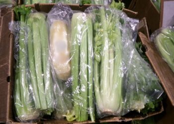 Decomisan más de 600 libras de metanfetamina en Otay, CA