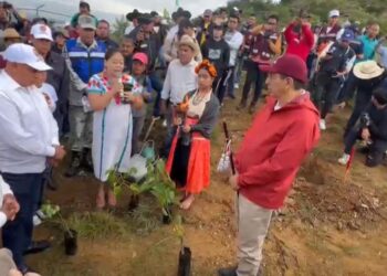 Preservan y protegen a Monte Albán de invasiones