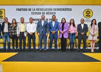 PRD presentará iniciativa para legalizar Interrupción del Embarazo