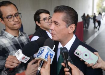 El PVEM no subsiste por ser satélite de partidos en el poder