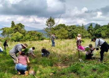 Inicia en Quiroga plantación de 18 mil árboles para conservación del lago Pátzcuaro.