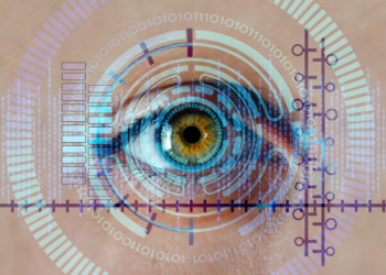 El Sistema Nacional de Registro e Identidad (SID) es una base centralizada de datos biométricos de todos los mexicanos