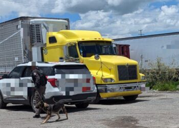 En Tizayuca, hallan 38 automotores en una bodega clandestina