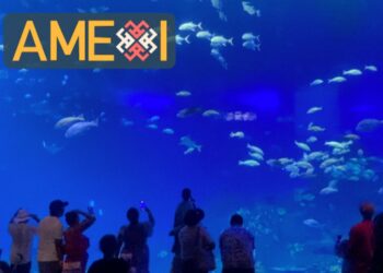 Acuario Mazatlán, el más grande de México y de los más importantes de Latinoamérica