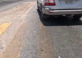 Intentan arrollar a una persona con sus mascotas en Mérida