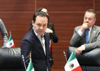Clemente Castañeda, coordinador de MC en el Senado. AMEXI / Foto: MC