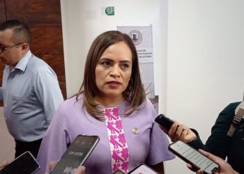 Confía diputada que avance denuncia por violencia política