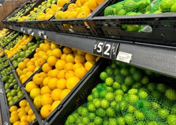 Precio de canasta básica baja 1.10% en septiembre por menor consumo