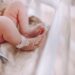 Nacimientos en México: ¿cuánto disminuyeron y en qué estados?