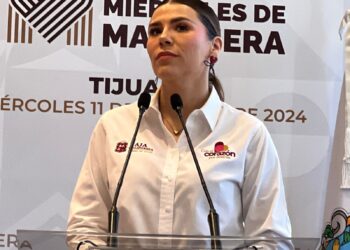 EN BC no hay cacería de brujas: Ávila Olmedo