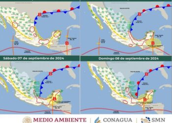 Frentes fríos. AMEXI / Imagen: Sistema Meteorológico Nacional (SMN).