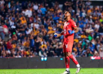 Gallos Blancos