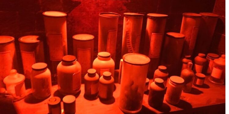 Harry Potter Magic at play: lo que debes saber de esta increíble experiencia interactiva