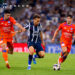 Rayados