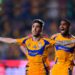 Tigres