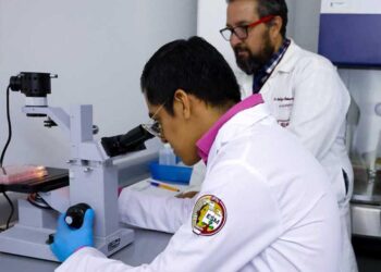 1-Dic-24 Mediante CRISPR-Cas9, científicos del IPN eliminan proteínas clave y así bloquean la puerta de entrada del VIH, con lo que evitan la infección por VIH. /AMEXI. /FOTO: IPN. ARCHIVO