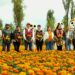 19 oct.- Flores de Cempasúchil. /AMEXI /FOTO; X @ClaraBrugadaM