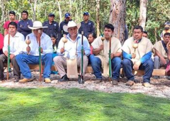 El miedo no anda en Burro: alcaldes chiapanecos se blindan