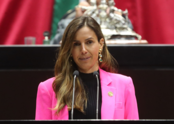 Alejandra Chedraui Peralta, diputada de Morena, pide incluir tentativa de feminicidio como delito