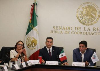 Fin al huachicoleo presupuestario, el planteamiento del PRI en el Senado
