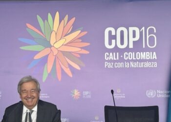 ¿Responderá la COP16 a las expectativas?