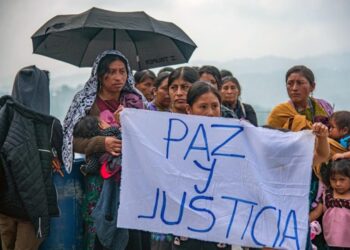 Violencia, crimen organizado y saqueos, la epidemia que crece en comunidades indígenas de Chiapas
