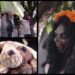 Todo listo en Michoacán para celebrar la fiesta de Halloween
