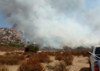 Bomberos combaten incendio forestal en Tecate