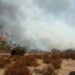 Bomberos combaten incendio forestal en Tecate
