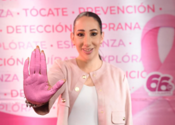 La diputada Noemí Luna, líder de la fracción del PAN, pide no abandonar la salud de las mujeres