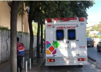 Van 12 el número de víctimas por dengue en Oaxaca 