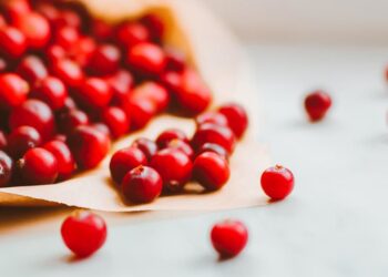 ¿Sabías que México es el segundo productor de arándano rojo?
