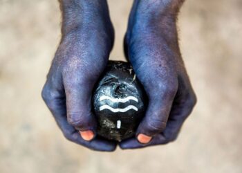 "Capside", obra de bioarte que llega COP16, una fusión de arte y ciencia