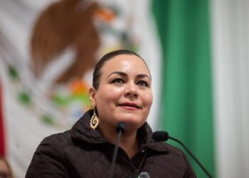 Por presencia de chinches exhortan inspeccionar Auditorio Nacional