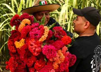 De Oaxaca para el mundo: cempasúchil californiano