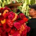 De Oaxaca para el mundo: cempasúchil californiano