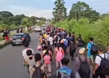 Derecho a la educación pública gratuita para los niños migrantes. Caravanas de migrantes en Chiapas.