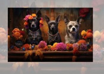 ¿Las mascotas también se recuerdan en Día de Muertos?