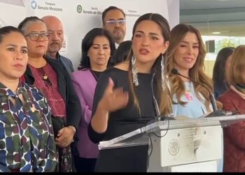 Senadora presenta denuncia penal contra caricaturista