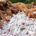 Incineran narcóticos en Yucatán y aseguran droga en QR