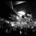 DBar