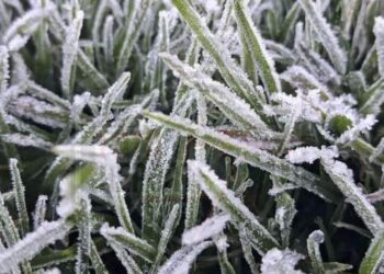 Alertan por caída de nieve o aguanieve