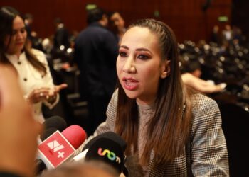 Noemí Luna, diputada del PAN.