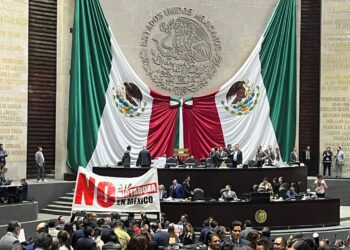 Diputados aprueban en los particular Extinción de 7 órganos autónomos
